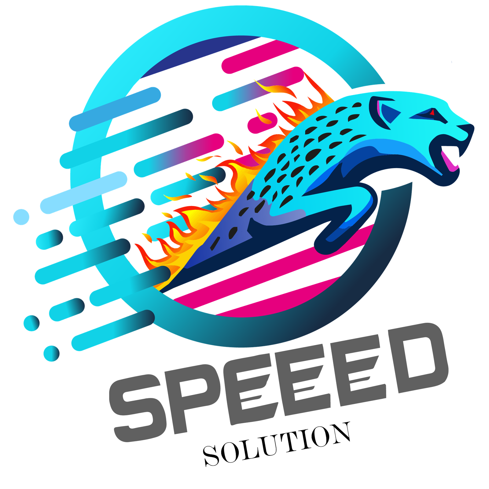 speeedsolution